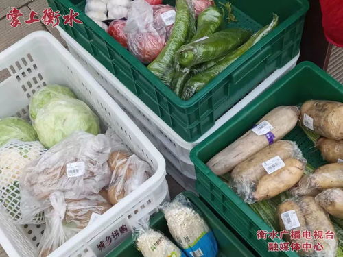 美麗河北 e起過年——故城品牌農(nóng)產(chǎn)品進(jìn)社區(qū)，稱心年貨送上門