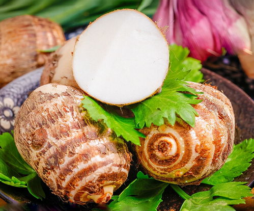 5G優(yōu)選 賦能食用農(nóng)產(chǎn)品初加工，為農(nóng)戶開啟高效賣貨新通路