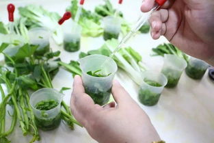 惠東三基地入選粵港澳大灣區“菜籃子”，引領農產品初加工新篇章