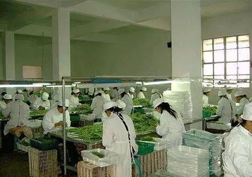 一圖解讀 七臺河市政府五大振興工程之食用農產品初加工賦能行動